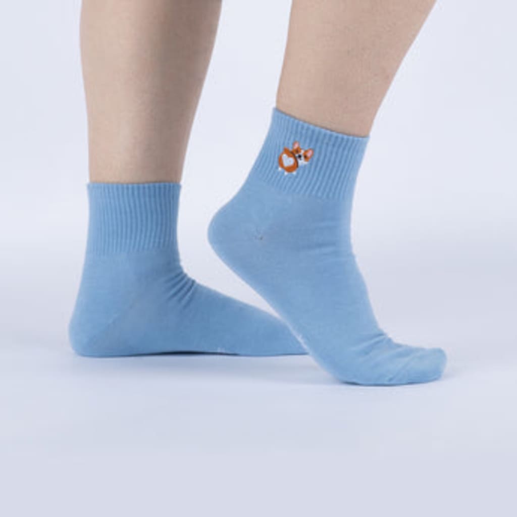 SOCXXY